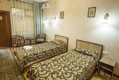 Twin room economy
